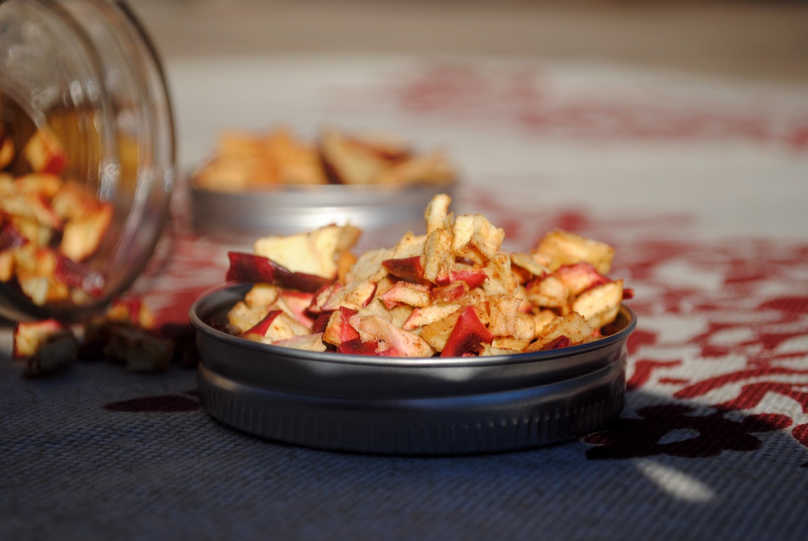 Homemade Dried Apple Chips Fit Foodie Finds