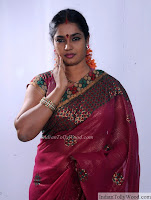 Jayavani red saree photo shoot 3 pic 24