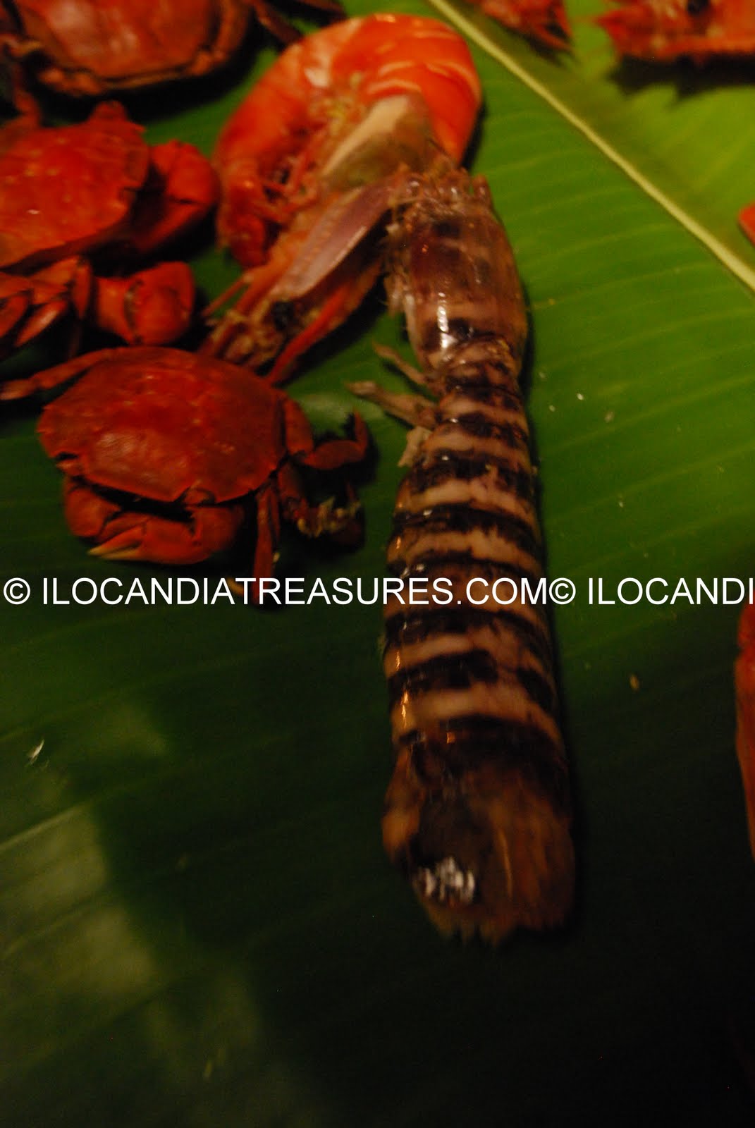 Treasures of Ilocandia and the World Frolicking in Tumba