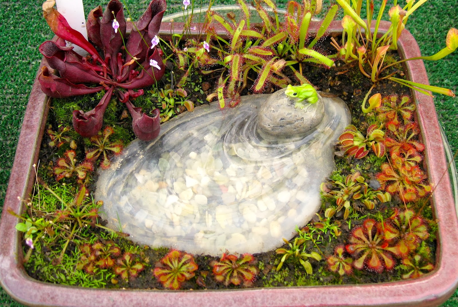 Think Global, Garden Local Nursuries along Hwy 92 to Half