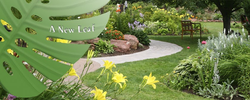 A New Leaf Landscape Renovation