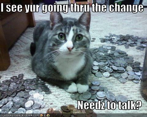 Justacargal Hump Day Humor Lol Catz