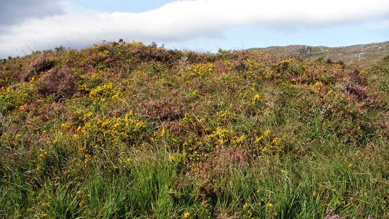 Inspirations From Ireland Dufte Natur Und Kultur In Irland