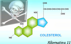 La Farsa del Colesterol Alto 11