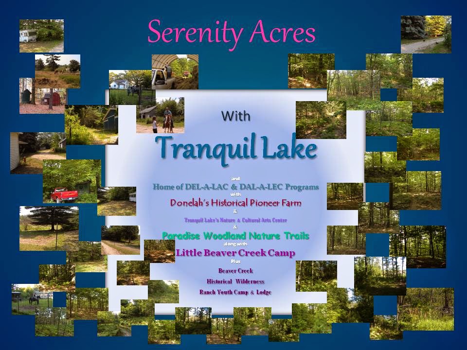 Serenity Acres' Blog