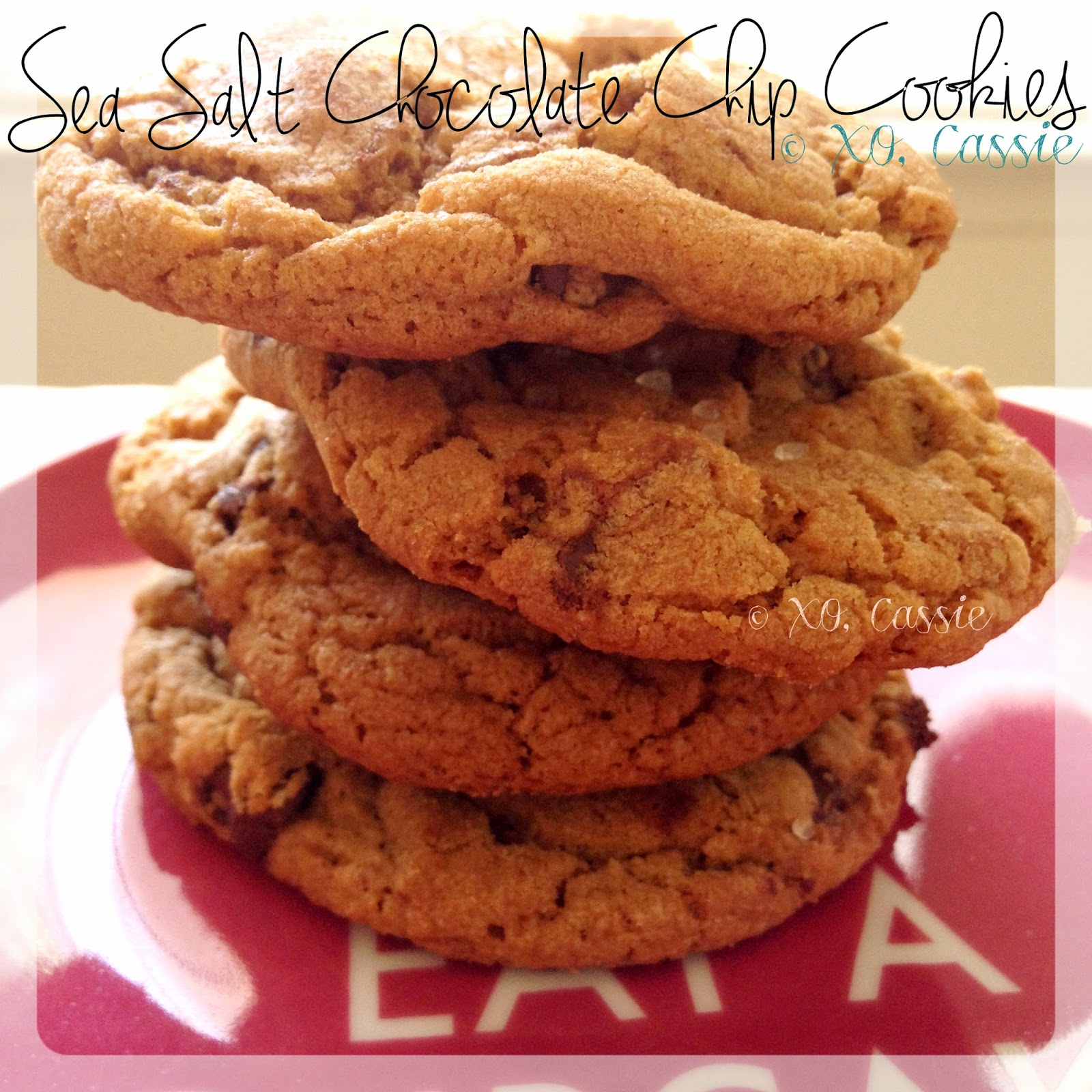XO, Cassie Sea Salt Chocolate Chip Cookies
