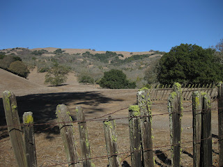 Brown hills, green trees, mossy fence posts