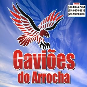 GAVIÕES DO ARROCHA • CANTA SERTANEJO - 2011