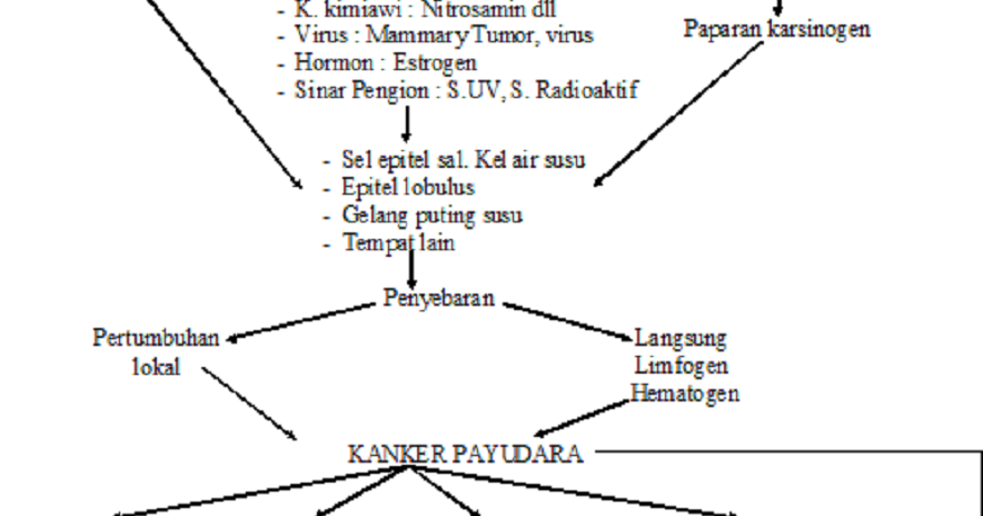 Perawat Hati Askep Ca Mamae Perawat Hati Askep Ca Mamae