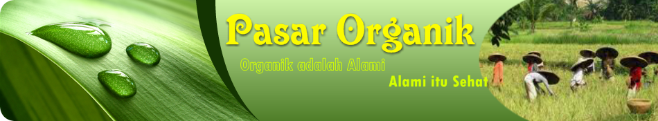 Pasar Organik