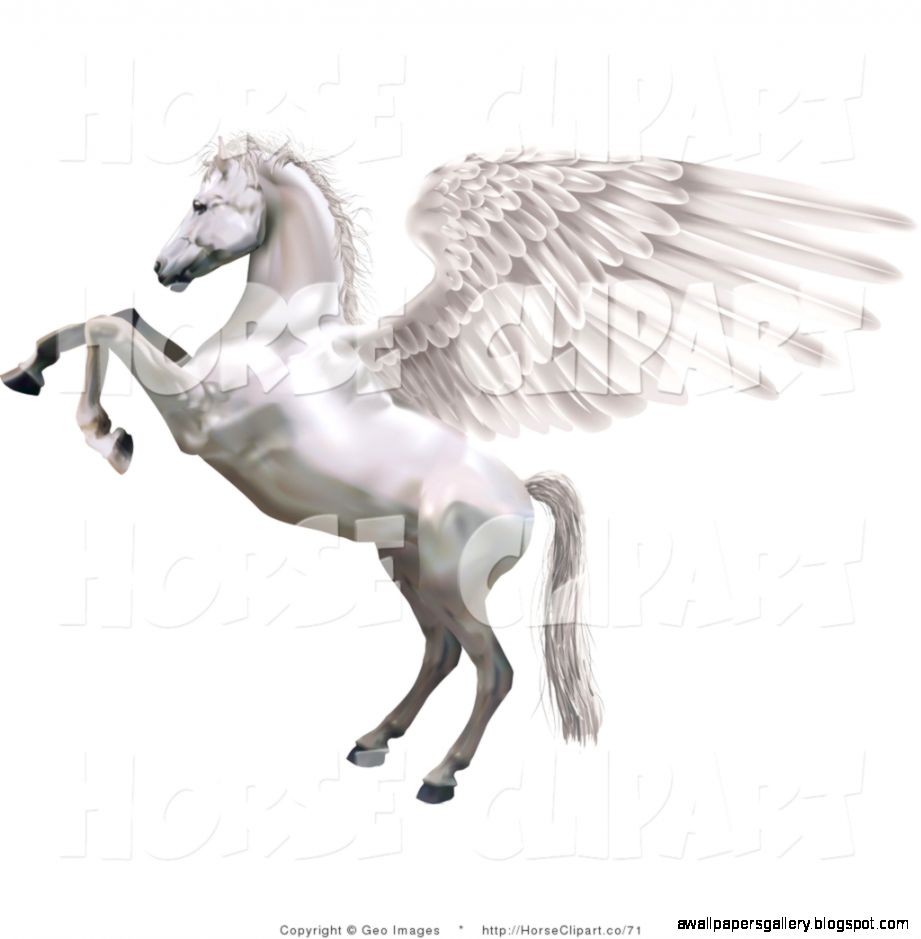Winged Fire Horse Amazing Wallpapers Winged Fire Horse Amazing Wallpapers