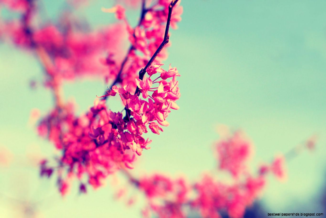 Flower Wallpaper Vintage 22 Desktop Background Flower Wallpaper Vintage 22 Desktop Background