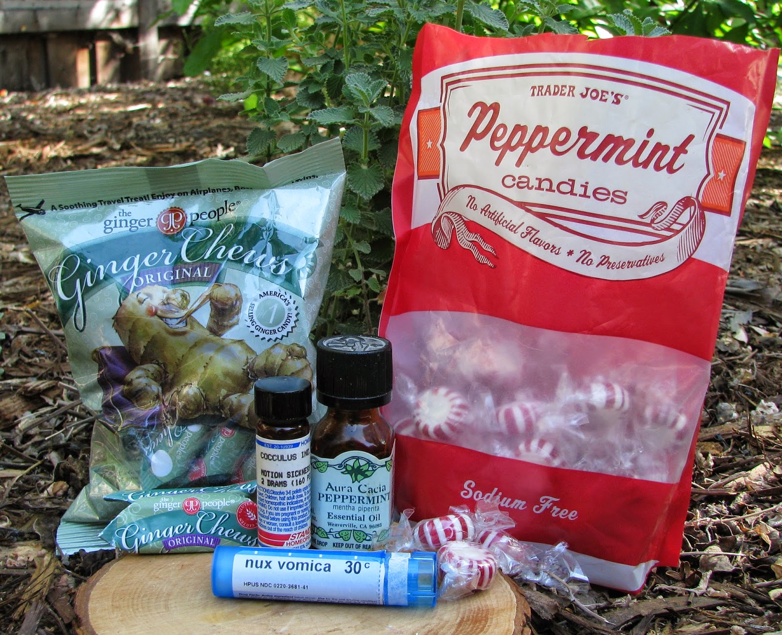 Healthy Gypsy Traveller NATURAL REMEDIES Motion Sickness