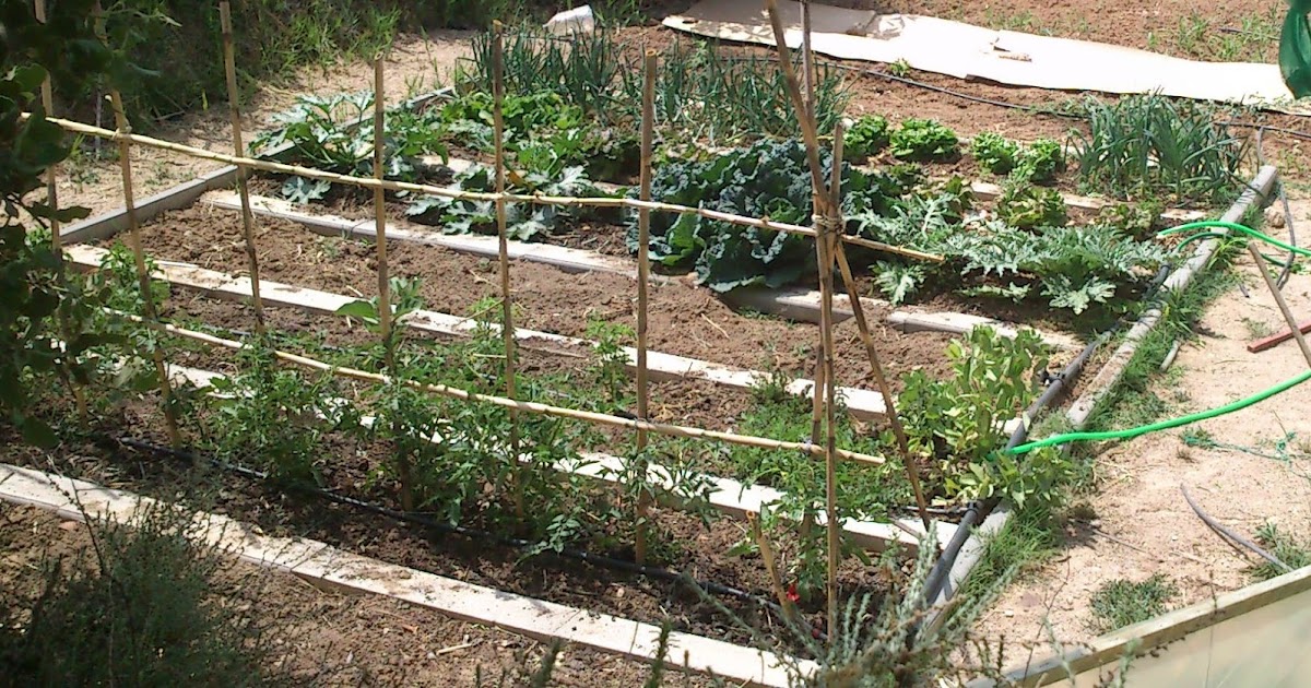 El huerto de Franjavio: Bancal profundo sin bardos cerámicos