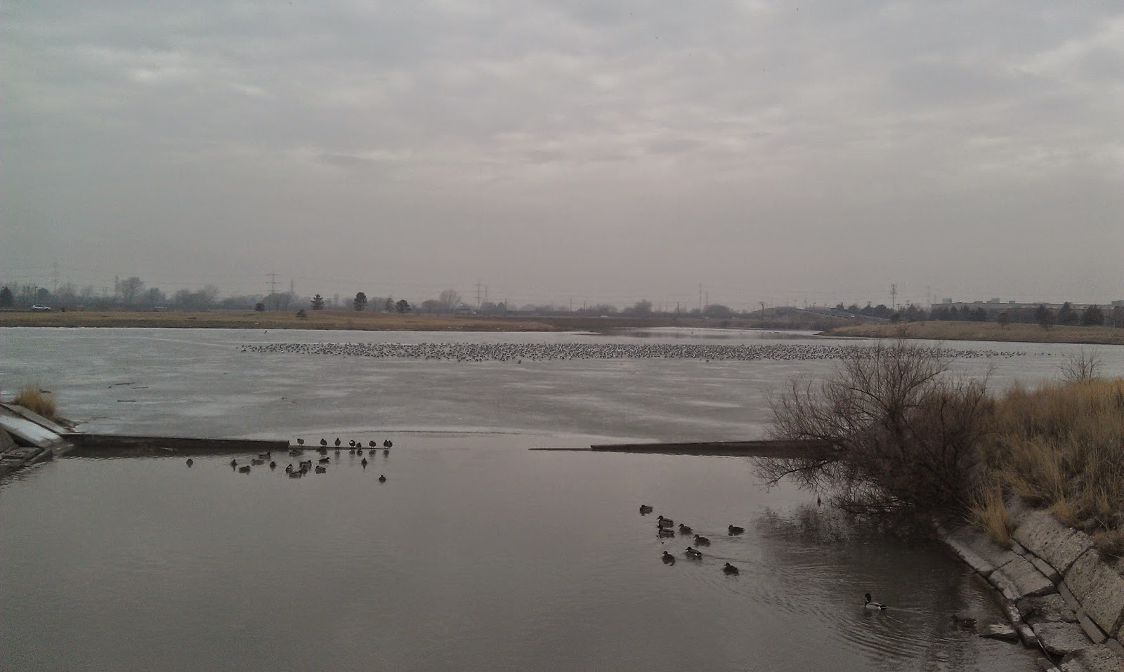 Running on Eddie January 2015