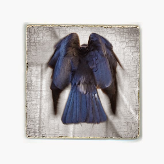 http://www.junehunter.com/collections/crow-portrait-series-fine-art-photo-prints/products/dark-angel-crow-portrait