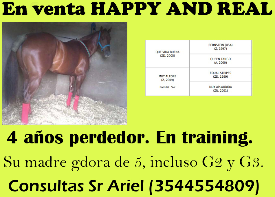 VENTA HAPPY AND REAL