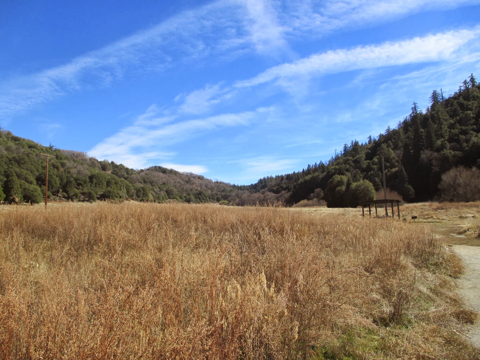 Hiking in Southern California Palomar Mountain State Park