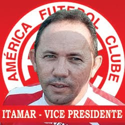 VICE PRESIDENTE