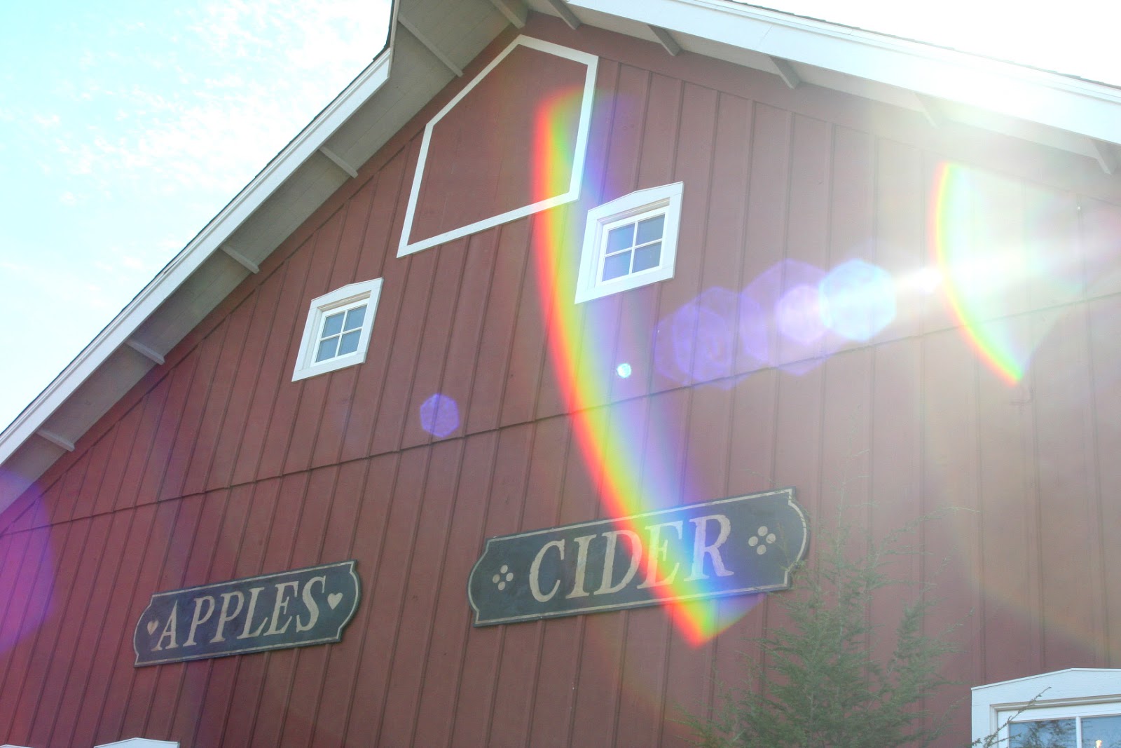 Edwards Apple Orchard, 2015 Brianne Sieberg