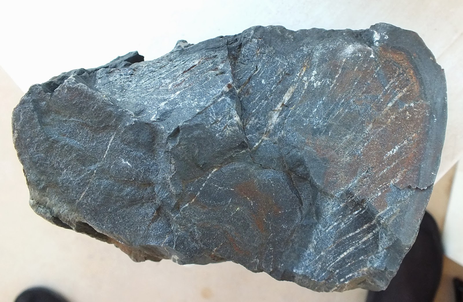 GOLD RUSH Ore Shoots and How to Trace Lode Veins