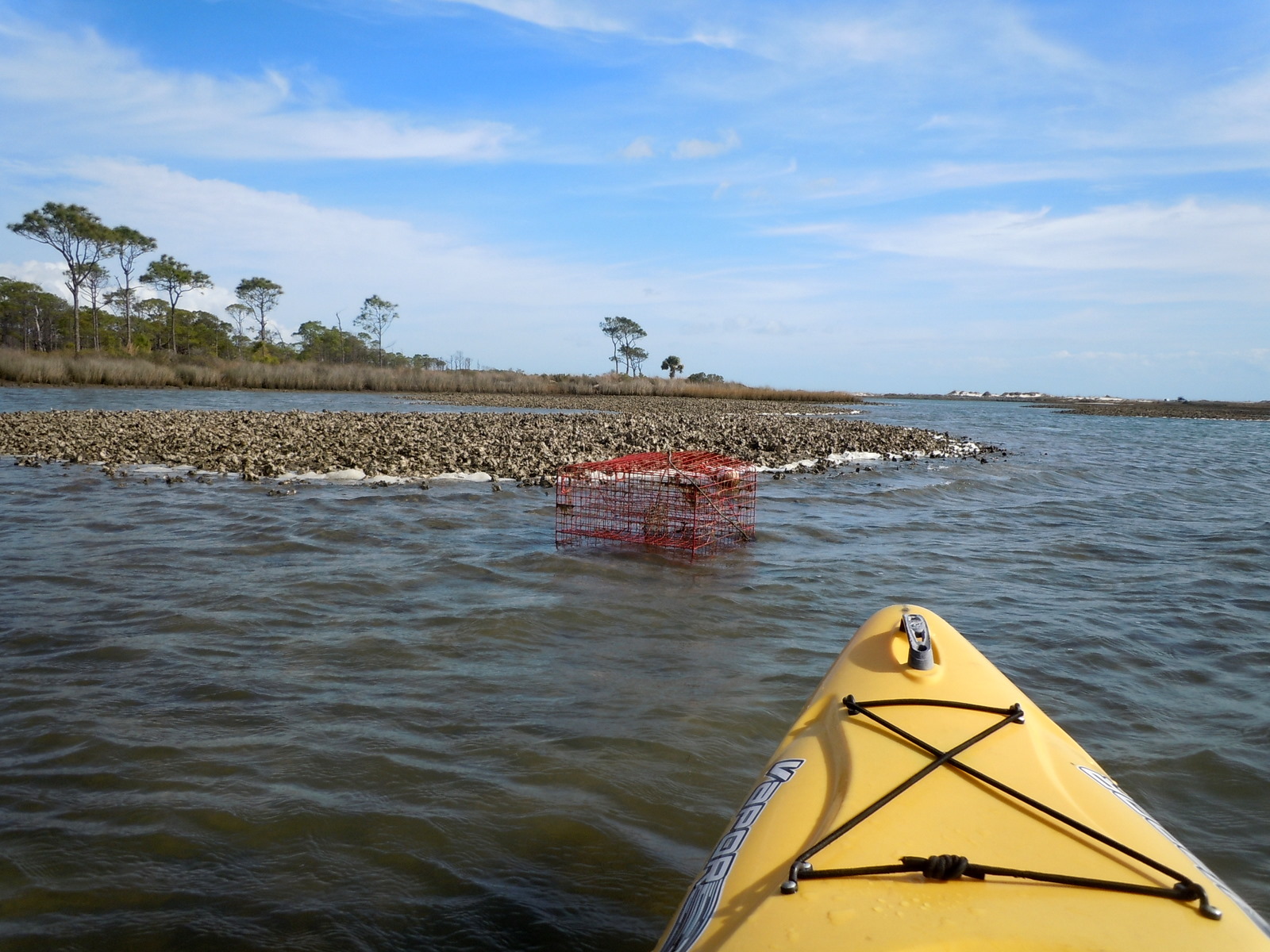 Moeller Travels Florida, St. Island State Park Jan 9 16