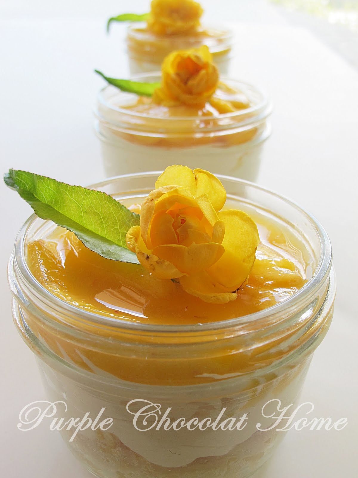 French Peach Pie Purple Chocolat Home