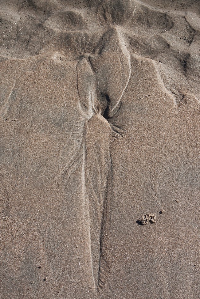 carrot shape in sand