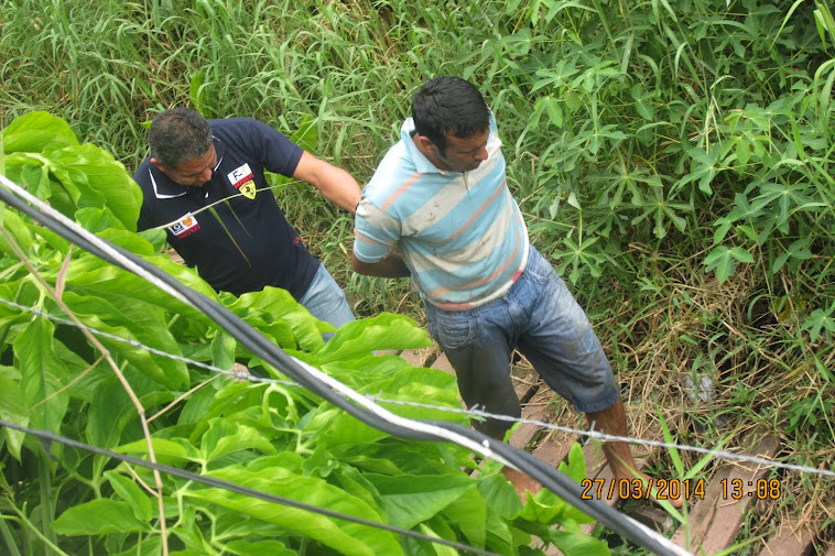 RETRATO DA FALTA DE SEGURANÇA PUBLICA NO AMAPÁ