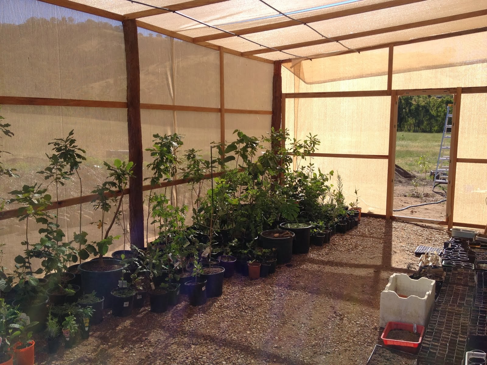 Finished shade house with overhead irrigation