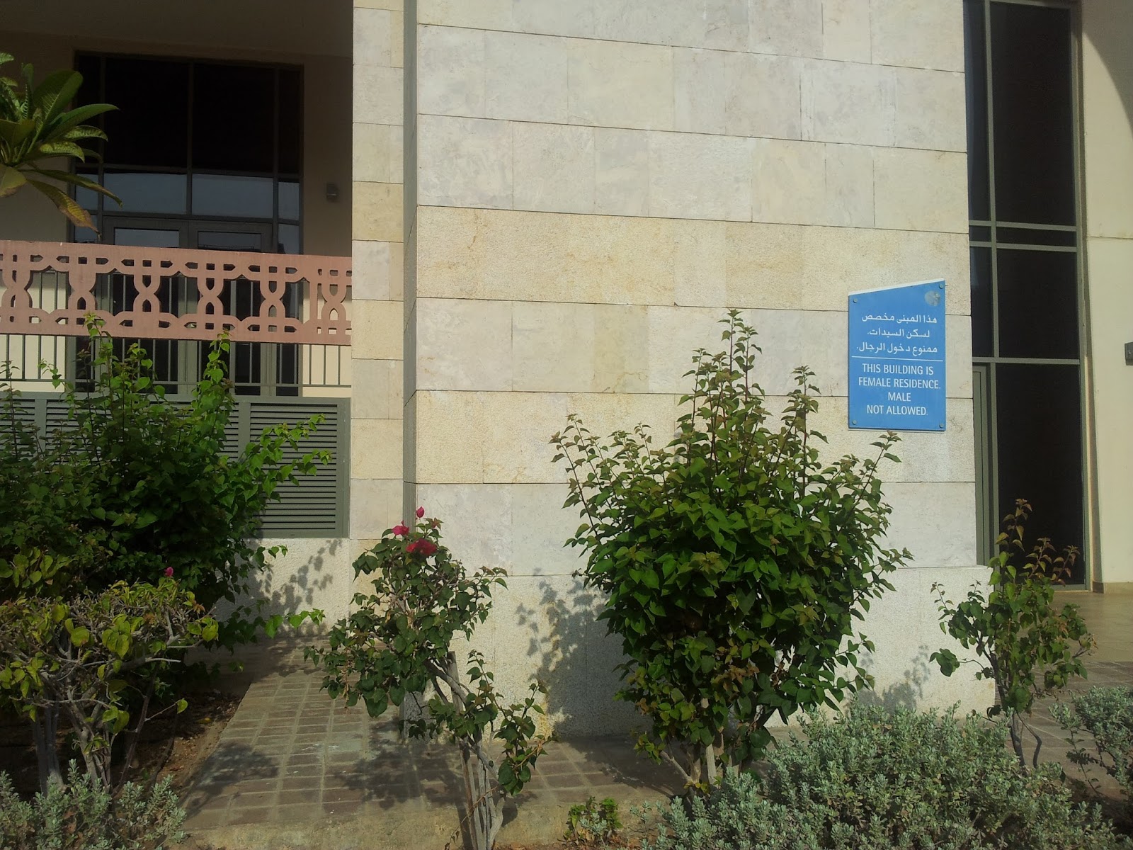 5 Unschlagbare Grunde Fur Eine Single Reise Alles Was Du Fur