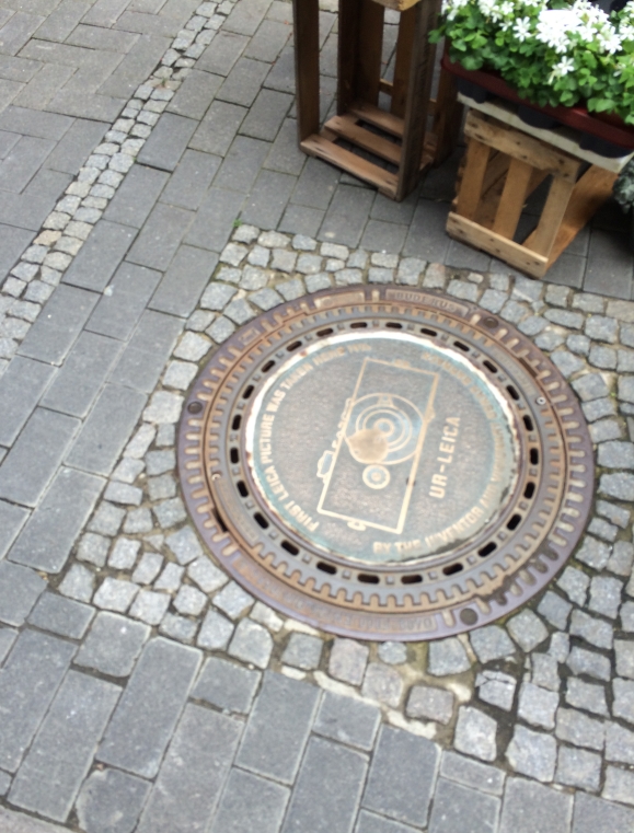 Perfect For Roquefort Cheese June 2015