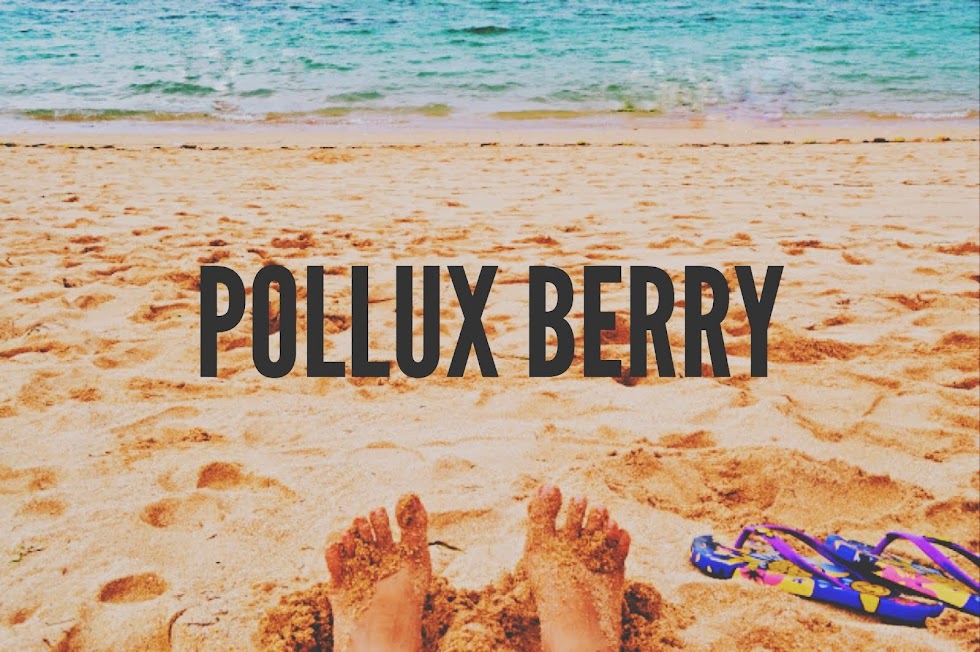 Pollux Berry