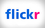 Flickr Miniature Dachshund Group