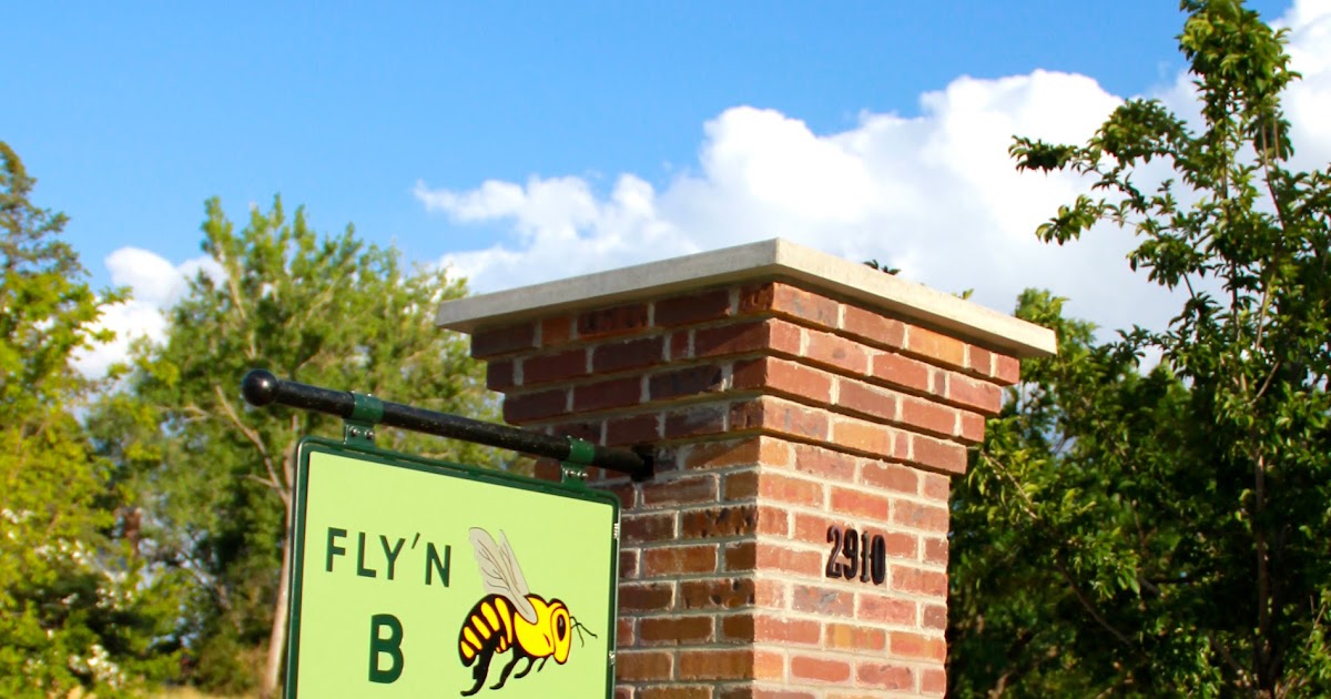 Highlands Ranch Mom Fly'n B Park