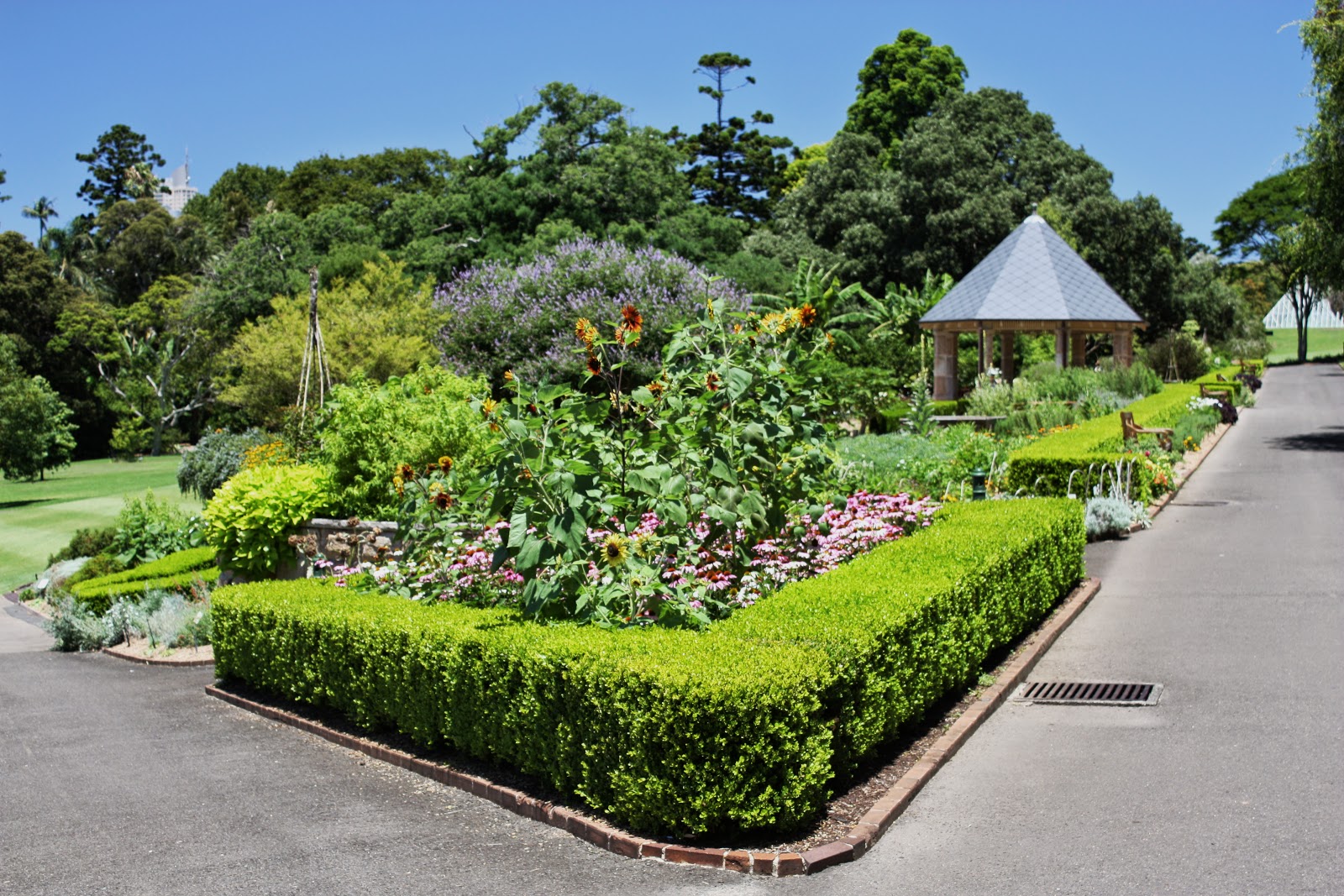 Sydney City and Suburbs Botanic Gardens, Herb Garden