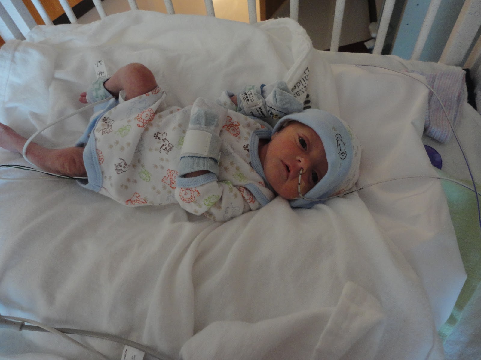 The Good Life Week 2 in the NICU