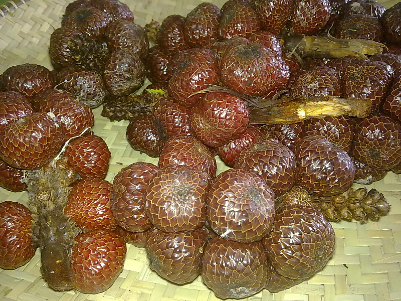 Buah Asam Kelubi