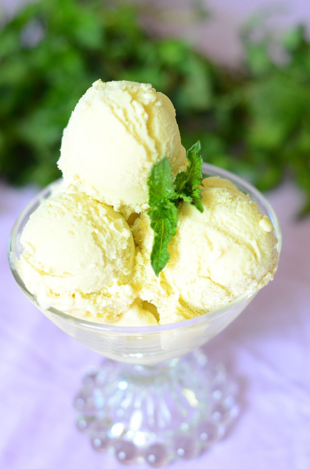 Fresh Mint Ice Cream Bless This Mess