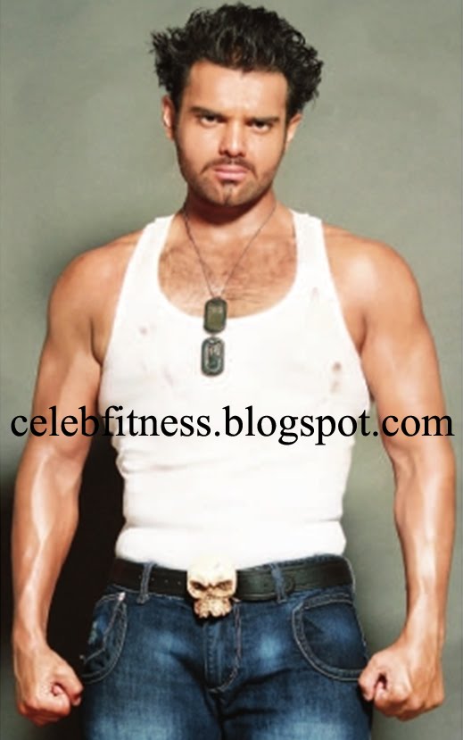Dino Morea Workout And Diet
