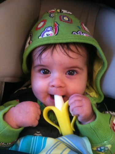 baby banana brush teether: Baby Banana Bendable Training ...