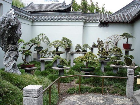 home garden and landscaping outdoor