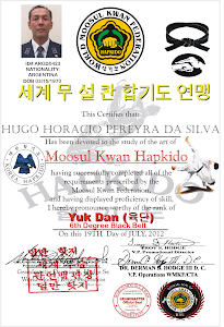 Hapkido Certificate