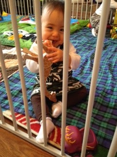 bearded-dragon-diaper-2