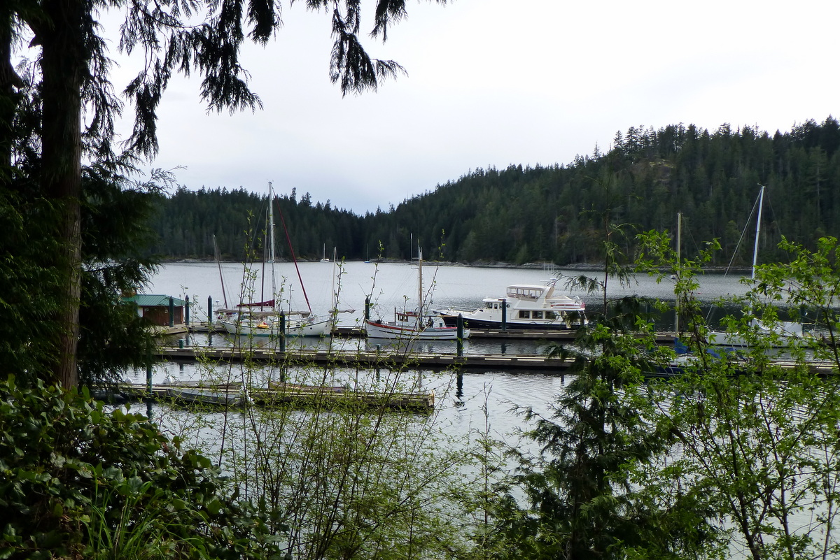 m/v WILD BLUE Cruising Blog 5 Harbour Again this Year