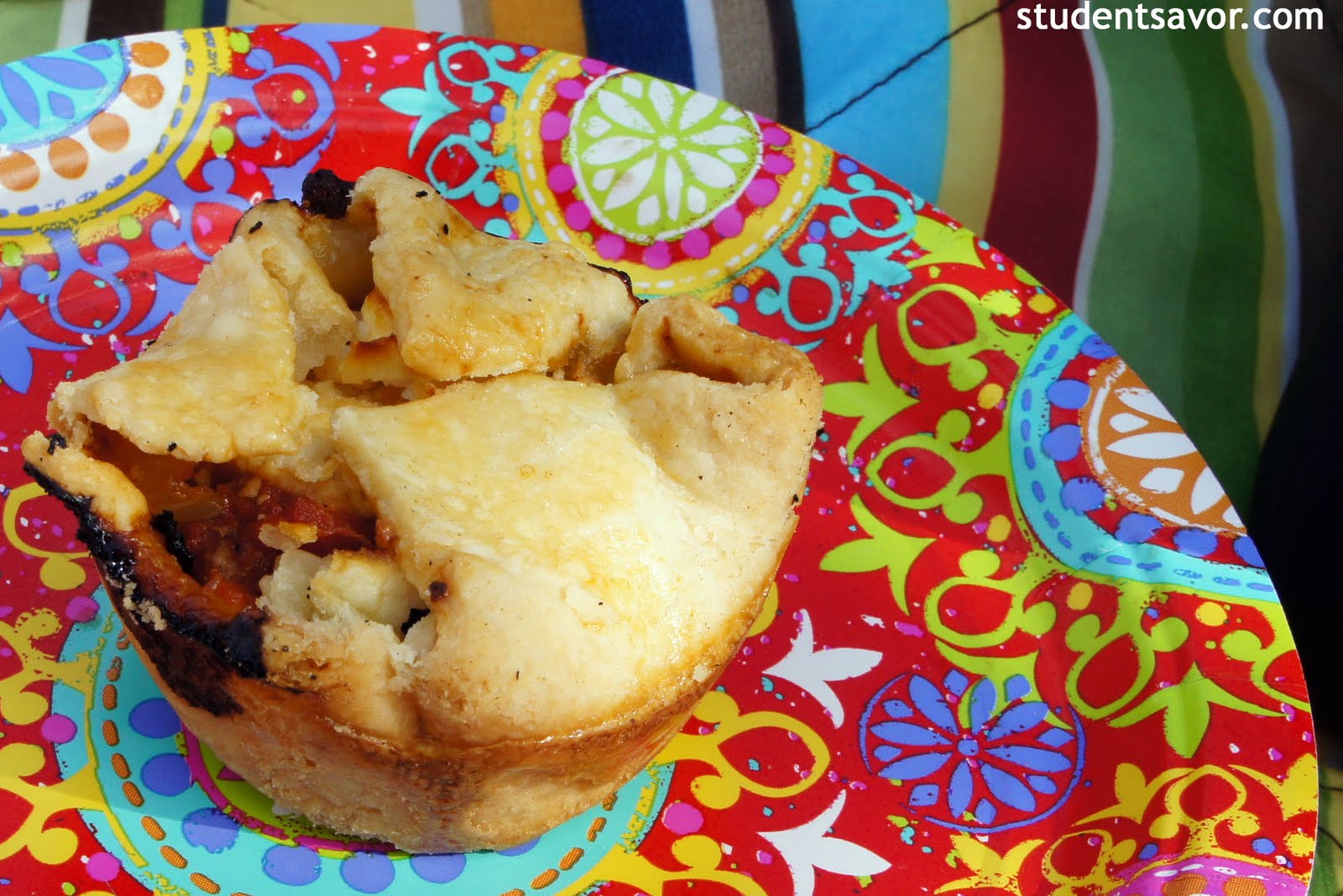 STUDENT SAVOR The Picnic Series Tomato Hand Pies