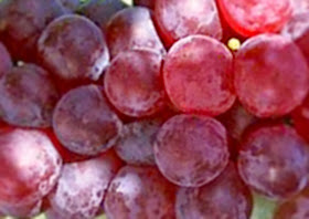 10 Manfaat Menakjubkan Buah Anggur untuk Kesehatan Anda