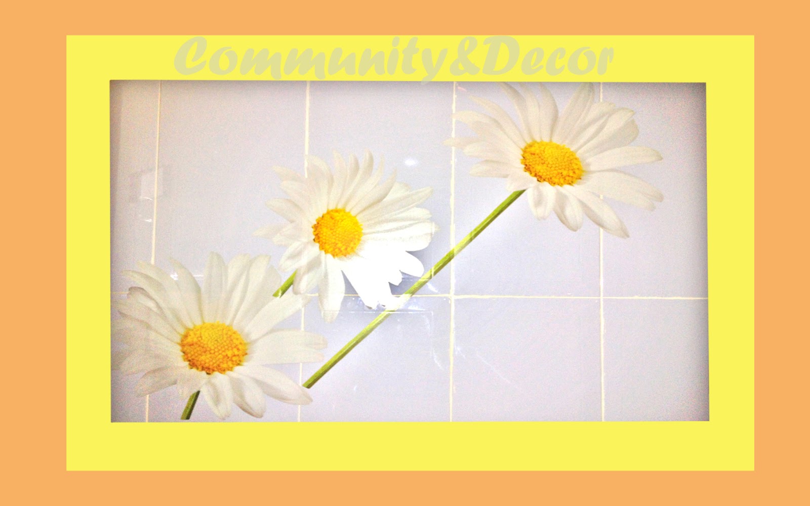 Decoración e interiorismo: Los vinilos y adhesivos decorativos nos