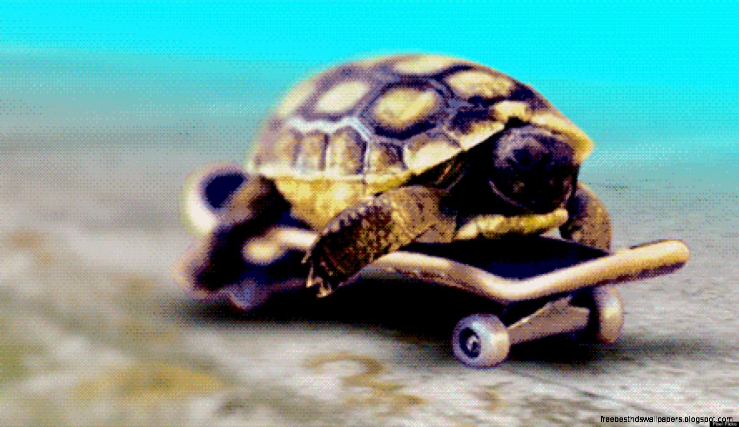 15 Awesome GIFs 15 Awesome GIFs