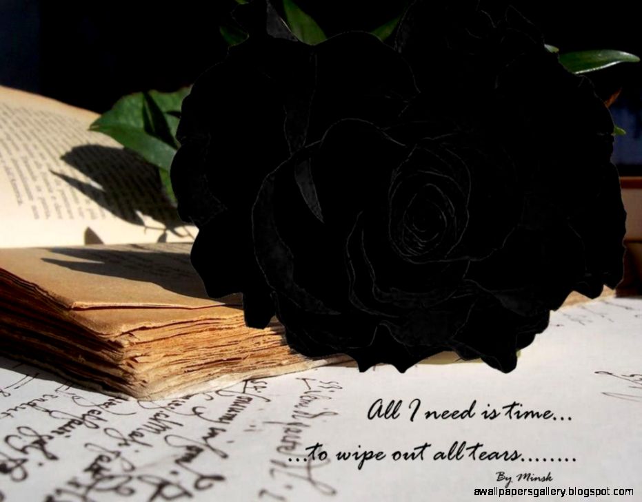 Black Rose Wallpapers Wallpaper Cave Black Rose Wallpapers Wallpaper Cave